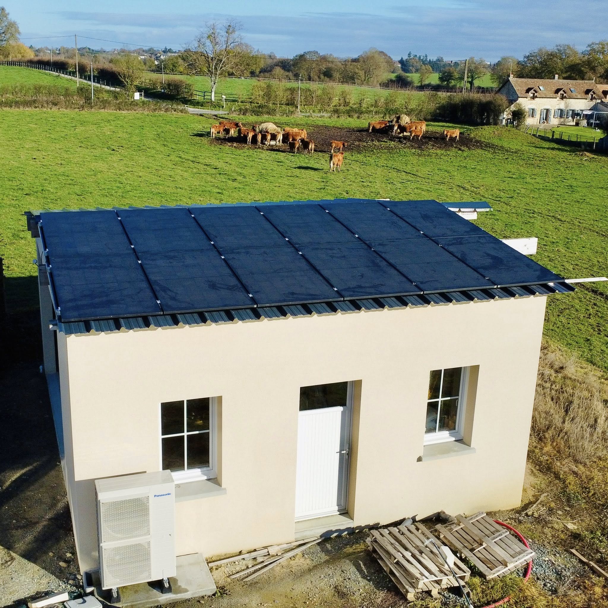 DCIM100MEDIADJI 0191.JPG