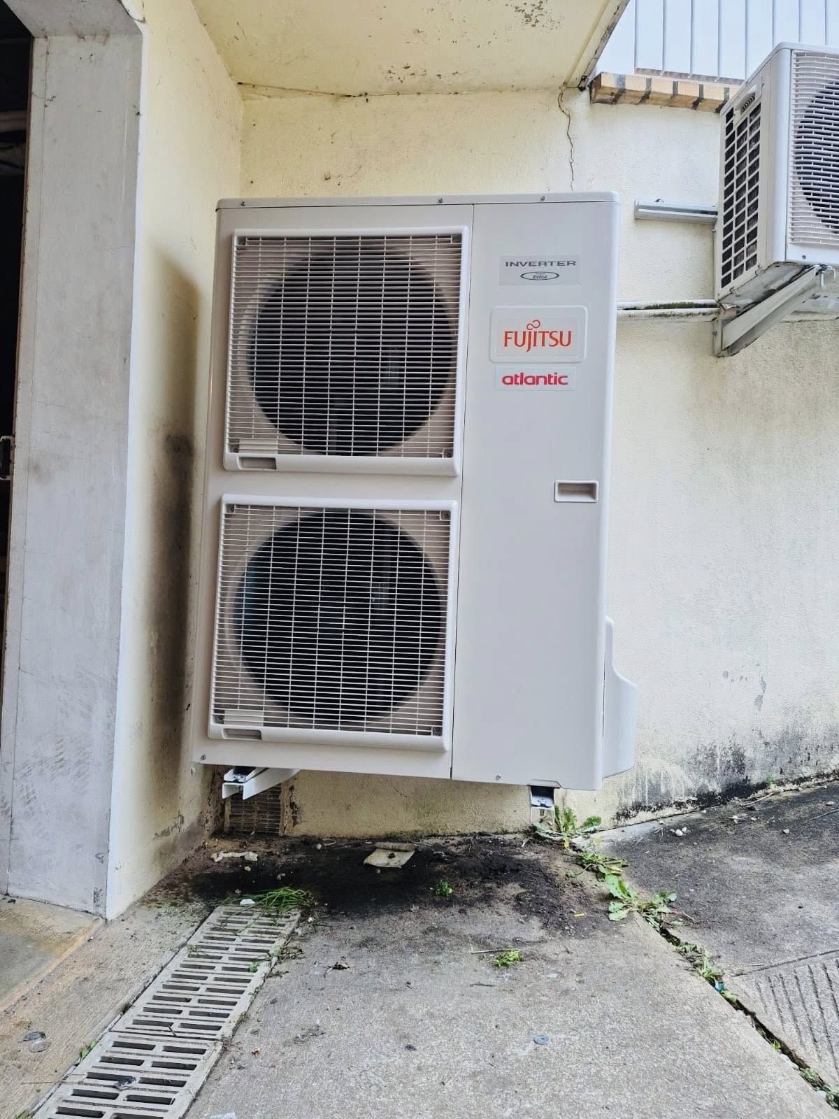 595117593 1408939950576129 6951136435035784266 n